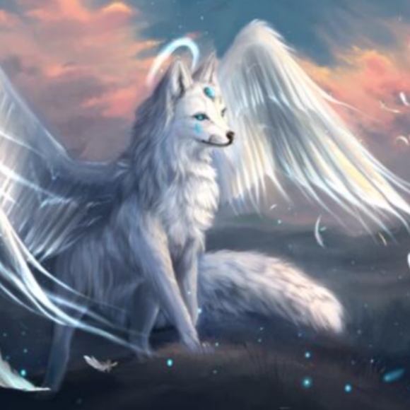 Meet your Posher, Skye - Picture 1 of 1